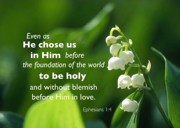 Ephesians 1 4
